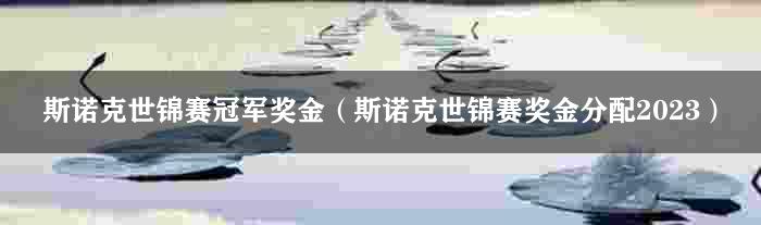 斯诺克世锦赛冠军奖金（斯诺克世锦赛奖金分配2023）