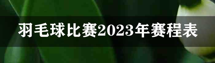 羽毛球比赛2023年赛程表
