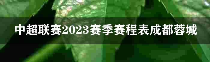 中超联赛2023赛季赛程表成都蓉城