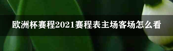 欧洲杯赛程2021赛程表主场客场怎么看