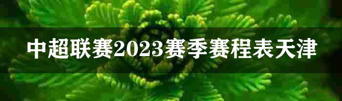 中超联赛2023赛季赛程表天津