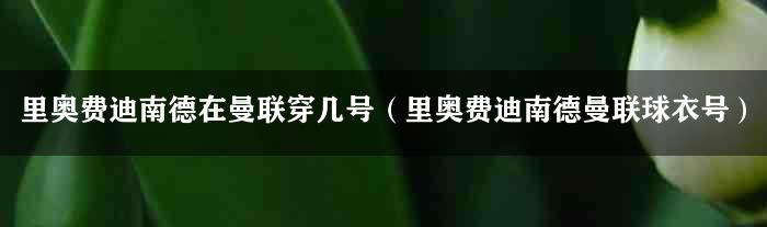 里奥费迪南德在曼联穿几号（里奥费迪南德曼联球衣号）