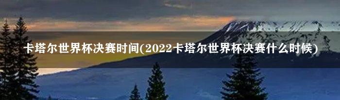 卡塔尔世界杯决赛时间(2022卡塔尔世界杯决赛什么时候)