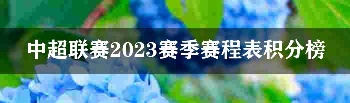 中超联赛2023赛季赛程表积分榜