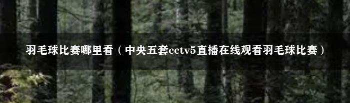 羽毛球比赛哪里看（中央五套cctv5直播在线观看羽毛球比赛）