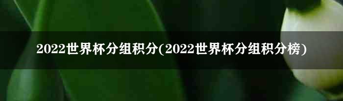 2022世界杯分组积分(2022世界杯分组积分榜)