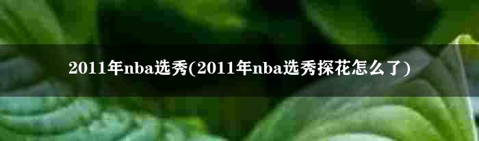 2011年nba选秀(2011年nba选秀探花怎么了)