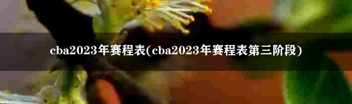 cba2023年赛程表(cba2023年赛程表第三阶段)