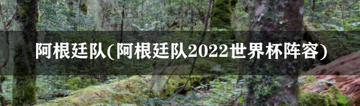 阿根廷队(阿根廷队2022世界杯阵容)