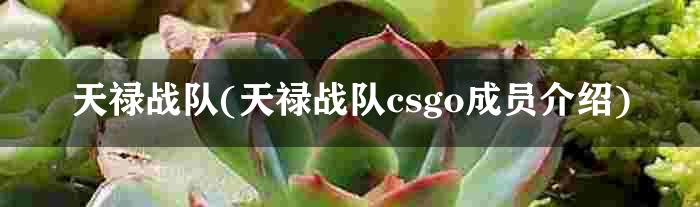 天禄战队(天禄战队csgo成员介绍)