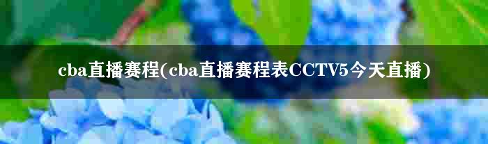 cba直播赛程(cba直播赛程表CCTV5今天直播)