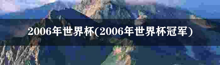 2006年世界杯(2006年世界杯冠军)