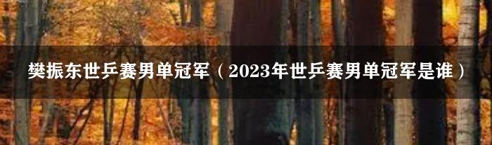 樊振东世乒赛男单冠军（2023年世乒赛男单冠军是谁）