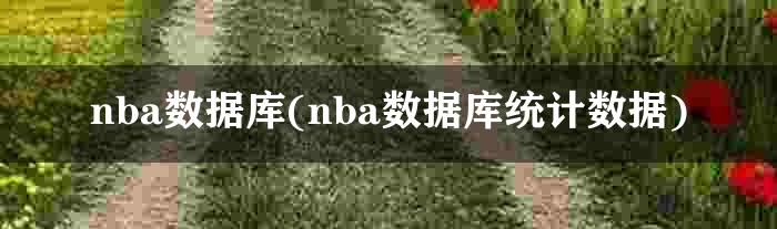 nba数据库(nba数据库统计数据)