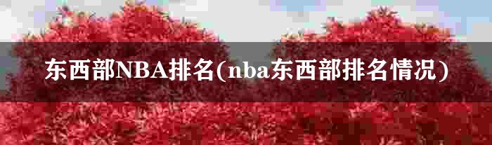 东西部NBA排名(nba东西部排名情况)