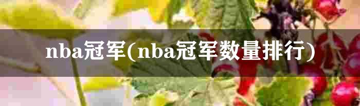 nba冠军(nba冠军数量排行)