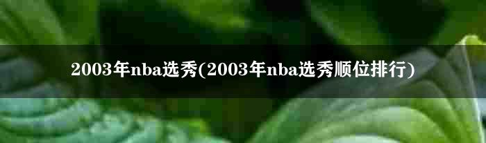 2003年nba选秀(2003年nba选秀顺位排行)