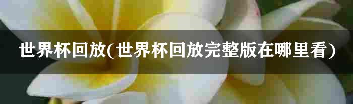 世界杯回放(世界杯回放完整版在哪里看)