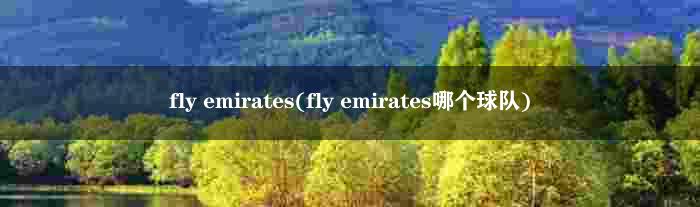 fly emirates(fly emirates哪个球队)