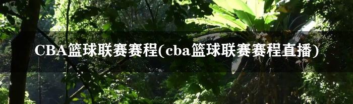 CBA篮球联赛赛程(cba篮球联赛赛程直播)