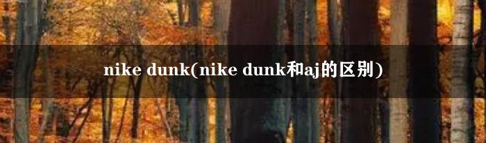 nike dunk(nike dunk和aj的区别)