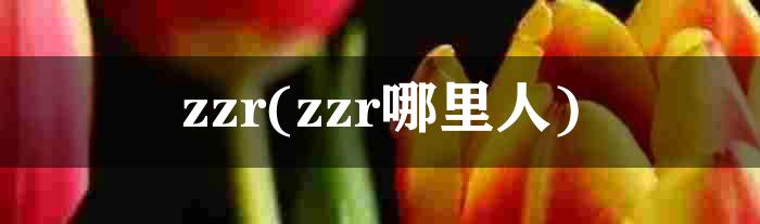 zzr(zzr哪里人)