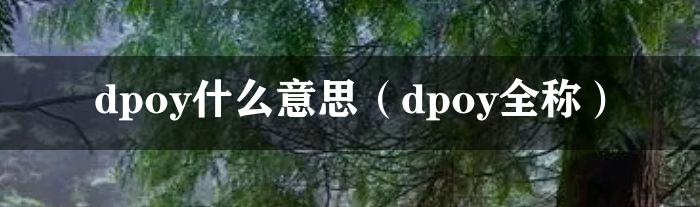 dpoy什么意思（dpoy全称）