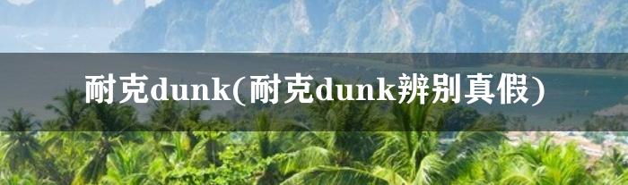 耐克dunk(耐克dunk辨别真假)