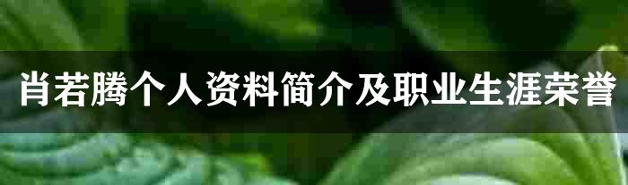 肖若腾个人资料简介及职业生涯荣誉