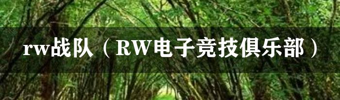 rw战队（RW电子竞技俱乐部）