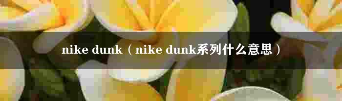 nike dunk（nike dunk系列什么意思）