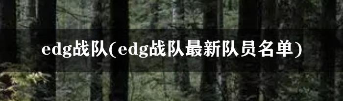 edg战队(edg战队最新队员名单)