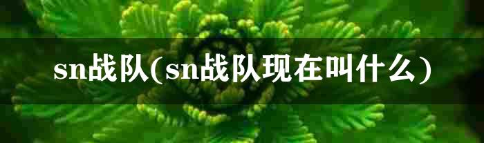 sn战队(sn战队现在叫什么)