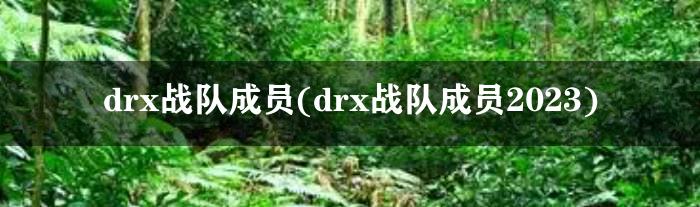 drx战队成员(drx战队成员2023)