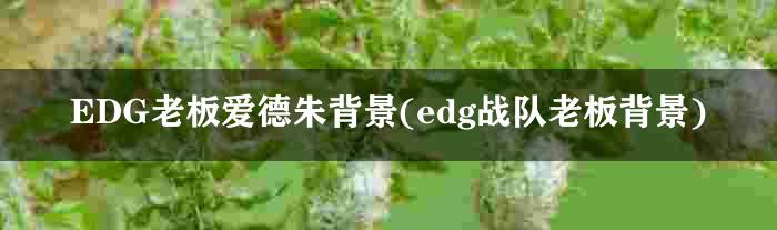 EDG老板爱德朱背景(edg战队老板背景)