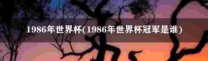 1986年世界杯(1986年世界杯冠军是谁)