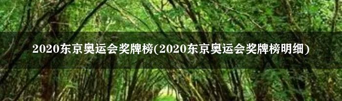 2020东京奥运会奖牌榜(2020东京奥运会奖牌榜明细)