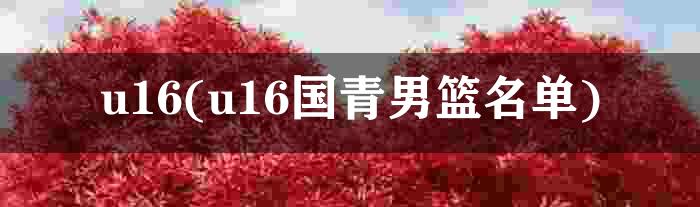 u16(u16国青男篮名单)