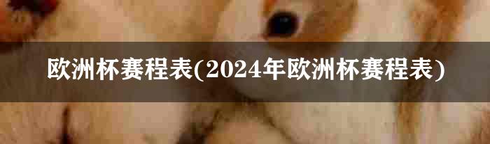 欧洲杯赛程表(2024年欧洲杯赛程表)