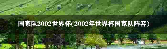 国家队2002世界杯(2002年世界杯国家队阵容)