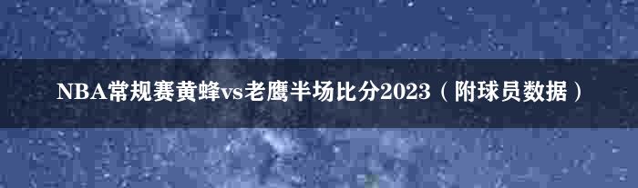 NBA常规赛黄蜂vs老鹰半场比分2023（附球员数据）