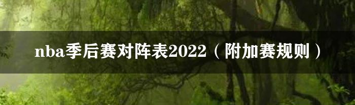 nba季后赛对阵表2022（附加赛规则）