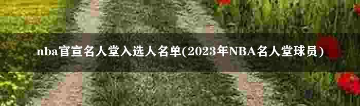 nba官宣名人堂入选人名单(2023年NBA名人堂球员)