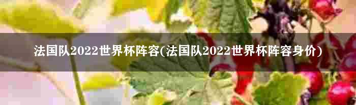 法国队2022世界杯阵容(法国队2022世界杯阵容身价)