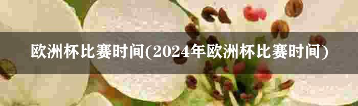 欧洲杯比赛时间(2024年欧洲杯比赛时间)