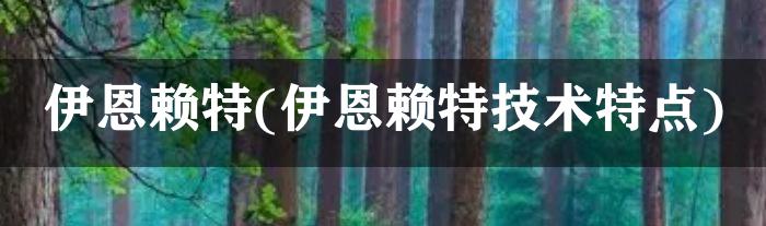 伊恩赖特(伊恩赖特技术特点)