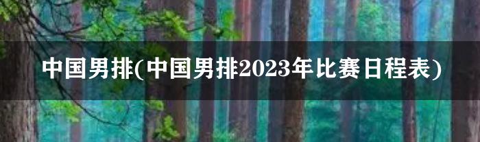 中国男排(中国男排2023年比赛日程表)