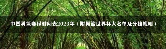 中国男篮赛程时间表2023年（附男篮世界杯大名单及分档规则）