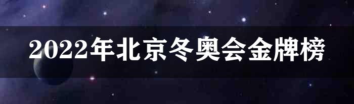 2022年北京冬奥会金牌榜