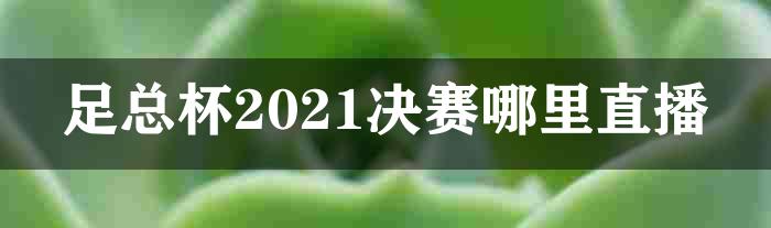 足总杯2021决赛哪里直播